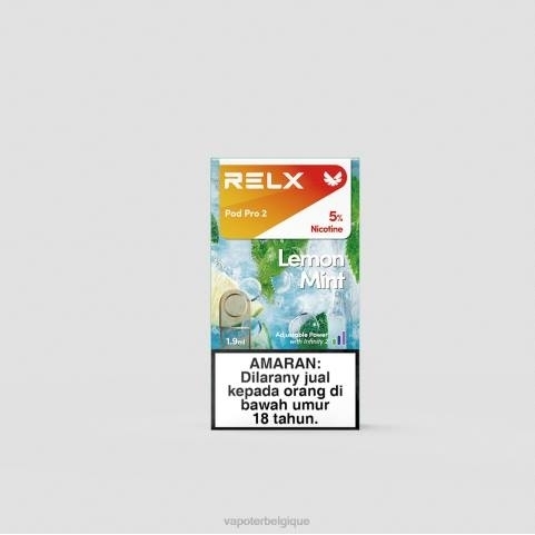 Cigarette Electronique Grossiste J2D8255 | RELX Pod Pro pomme de raisin 2