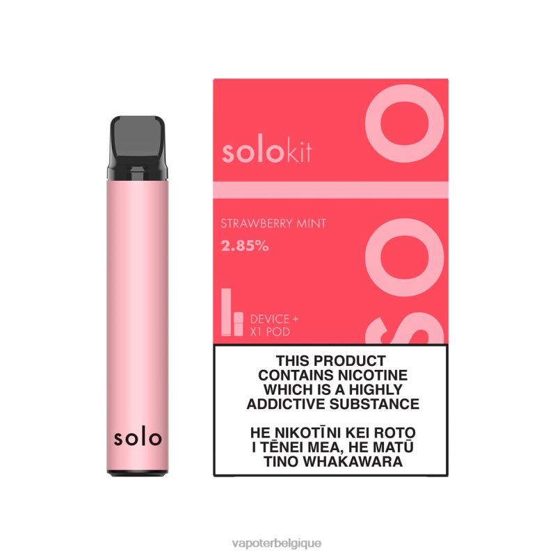Cigarette Electronique Grossiste 26RVJ41 - Solo kit de dosettes menthe fraise