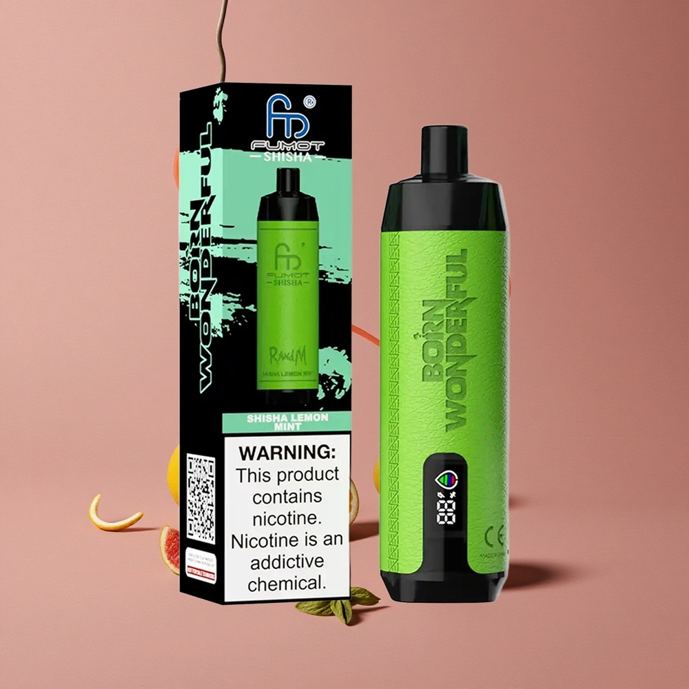 RandM Fumot Shisha 10000 Puffs Citron Menthe Vape Jetable avec Indicateur LED et Batterie 850 mAh