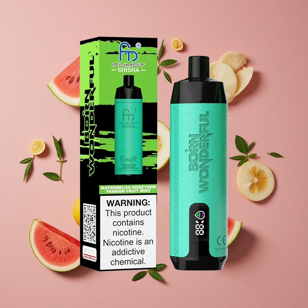RandM Fumot Shisha 10000 Puffs E-liquide Prérempli Pastèque Melon Fruit de la Passion Menthe LED Indicateur Type-C Port