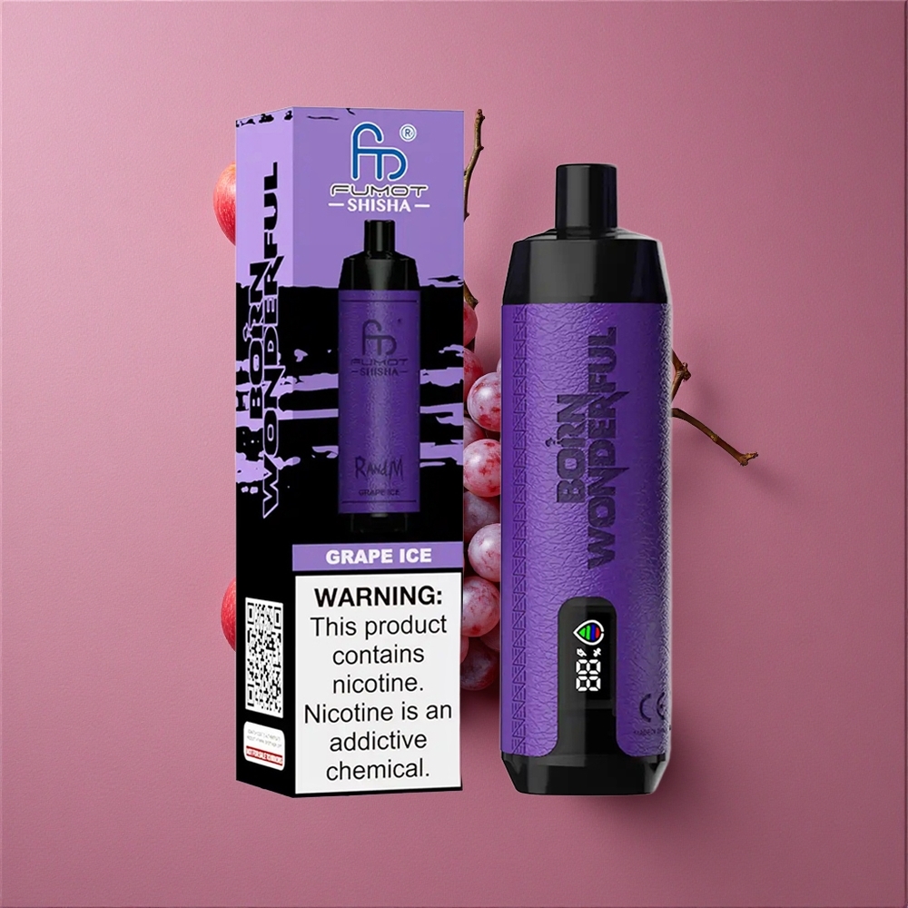 RandM Fumot Shisha 10000 Puffs Vape Jetable Glace Raisin avec Indicateur LED et Batterie 850 mAh