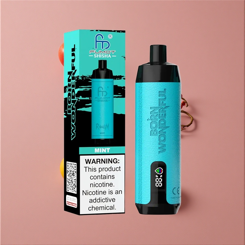 RandM Fumot Shisha 10000 Puffs Vape Jetable Menthe avec 18ml E-Liquide Prérempli et Batterie 850 mAh