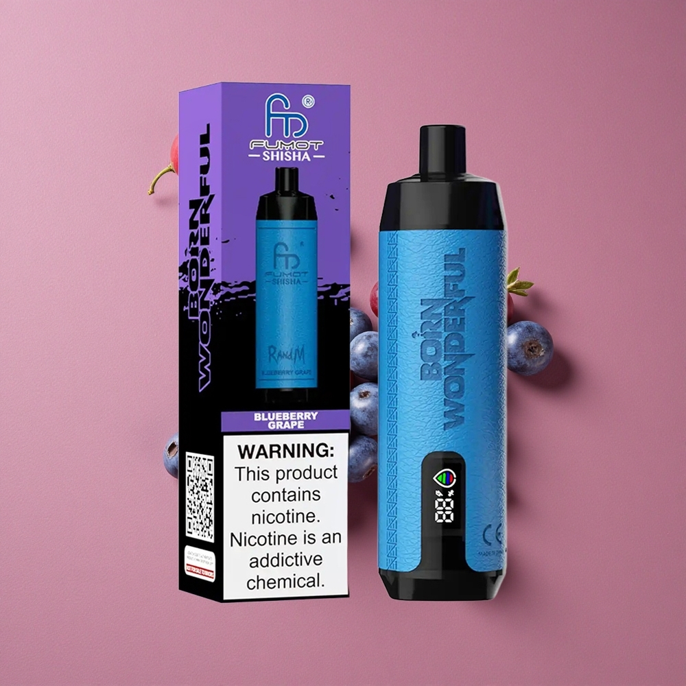 RandM Fumot Shisha 10000 Puffs Vape Jetable Myrtille Raisin avec LED et 18ml Prérempli