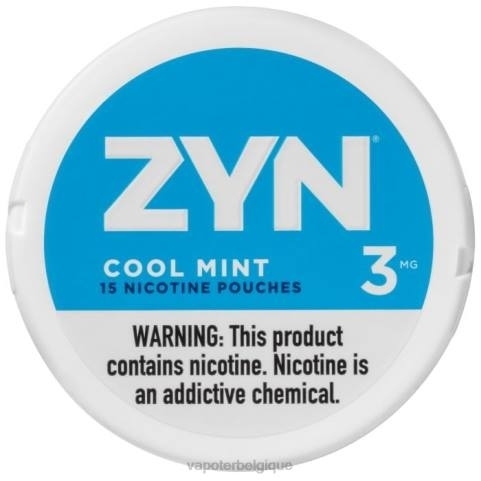 Grossiste Vape Jetable J2D826 | ZYN menthe fraîche sachet de nicotine 3mg