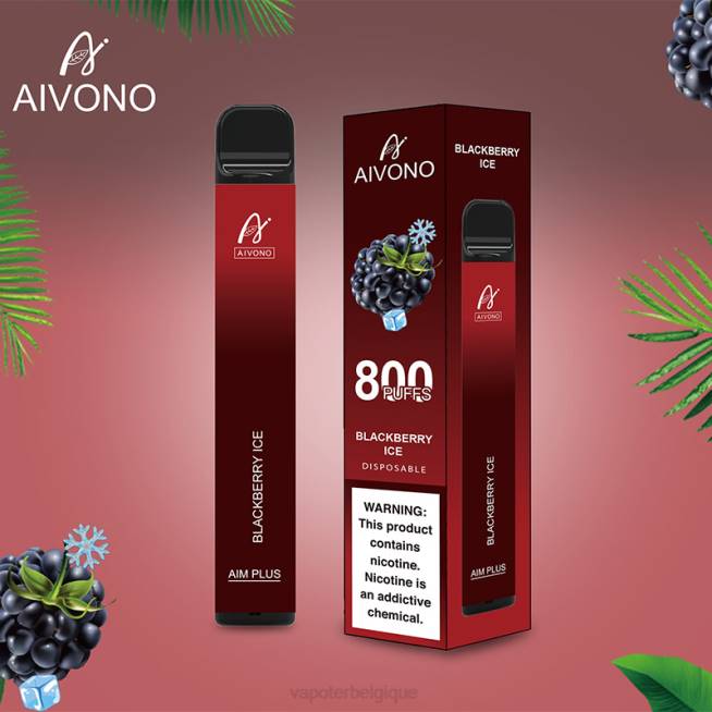 Aivono AIM PLUS 800 glace aux mûres - VBRB172 Vape En Gros
