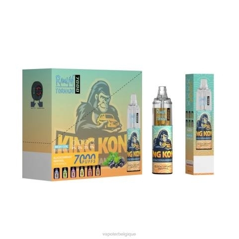 Vape En Gros J2D81 | RandM Tornado jetable 7000 5%