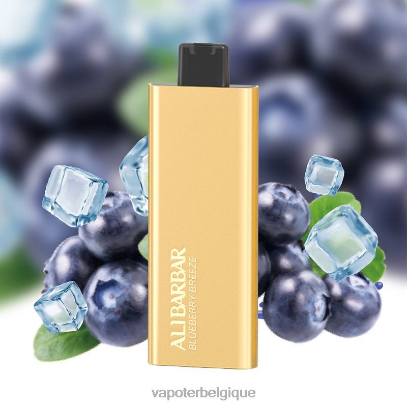 Vapoter Belgique 22F6451 Alibarbar Pandora 7000 vapes jetables brise de myrtille