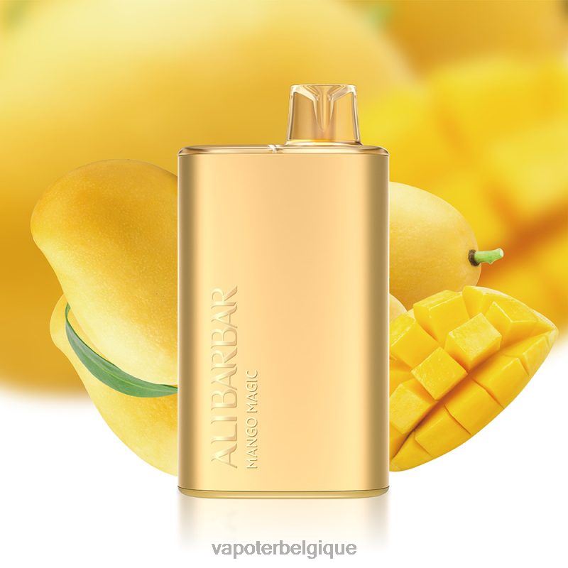 Cigarette Electronique Jetable 22F647 Alibarbar Rich 8000 vapes jetables magie de la mangue