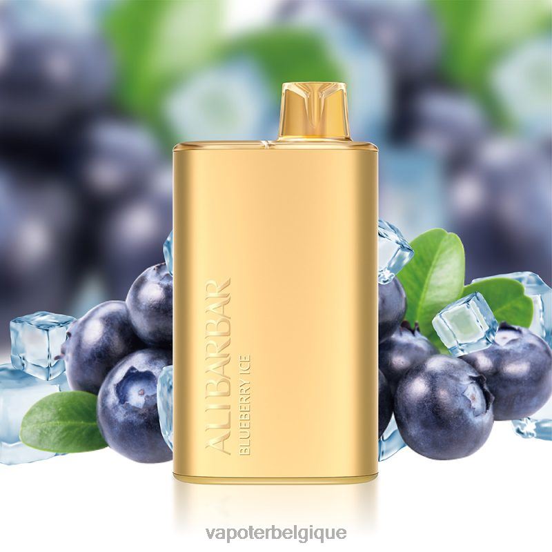 Vape Grossiste 22F643 Alibarbar Rich 8000 vapes jetables glace aux myrtilles