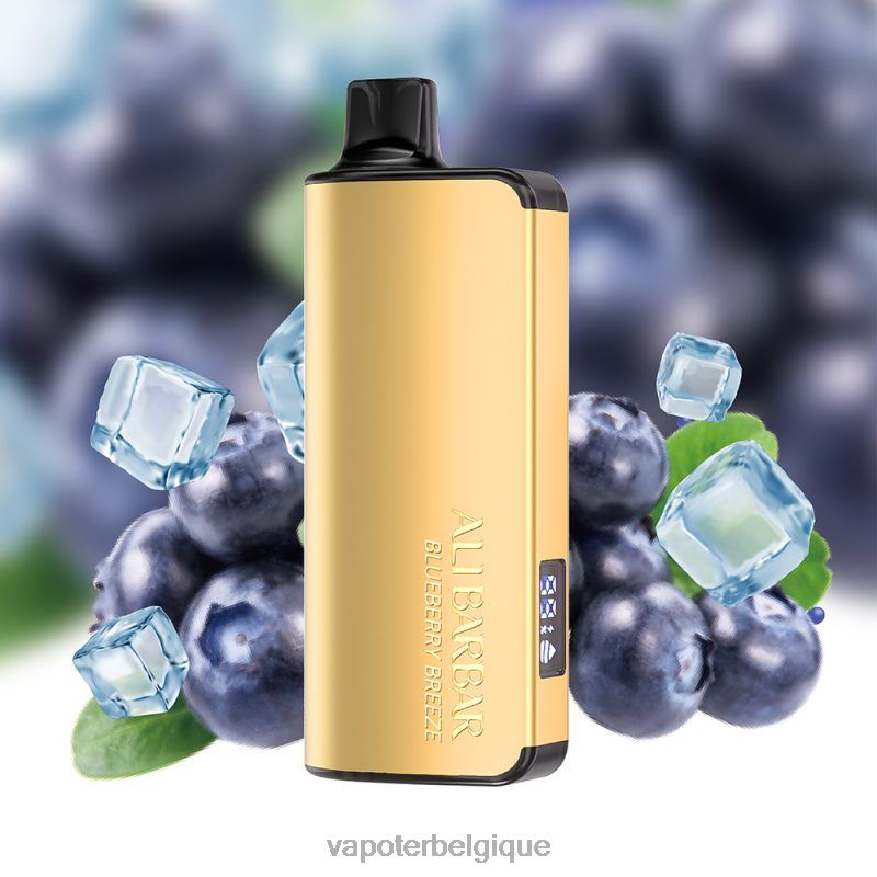 Grossiste Vape En Ligne 22F6432 Alibarbar Ingot 20000 vapes jetables brise de myrtille