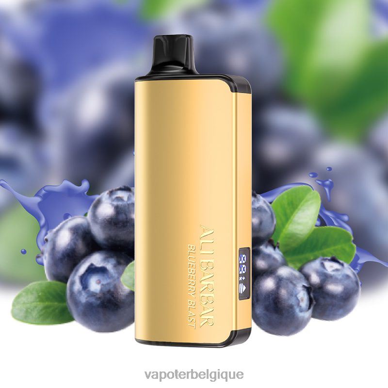 Vape Grossiste 22F6431 Alibarbar Ingot 20000 vapes jetables explosion de myrtilles