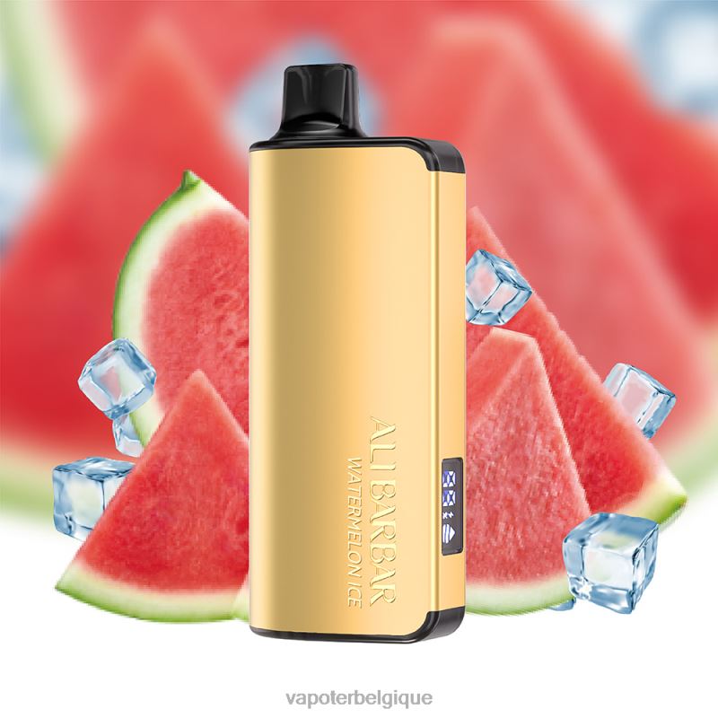 Cigarette Electronique Grossiste 22F6426 Alibarbar Ingot 9000 vapes jetables glace à la pastèque