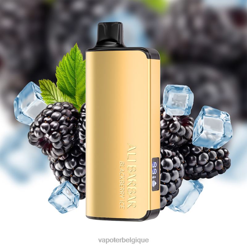 Cigarette Electronique Grossiste 22F6426 Alibarbar Ingot 9000 vapes jetables glace à la pastèque