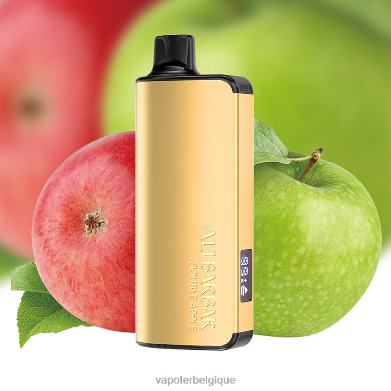 Cigarette Electronique Jetable 22F6428 Alibarbar Ingot 9000 vapes jetables double pomme