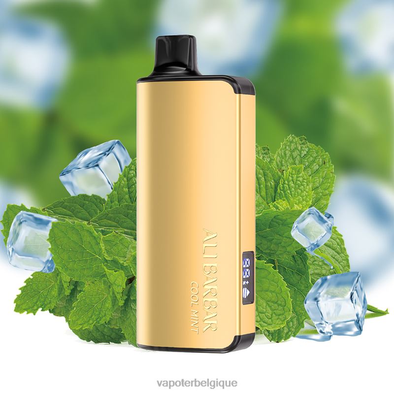Grossiste Vape En Ligne 22F6418 Alibarbar Ingot 9000 vapes jetables menthe fraîche