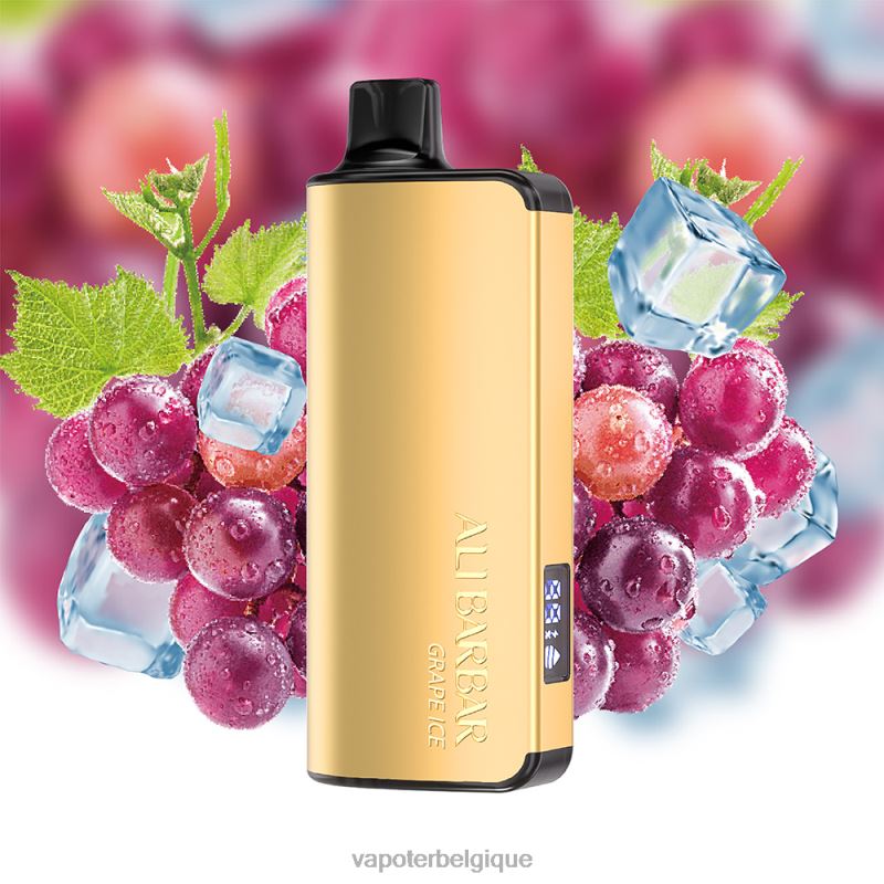 Grossiste Vape Jetable 22F6420 Alibarbar Ingot 9000 vapes jetables glace aux raisins