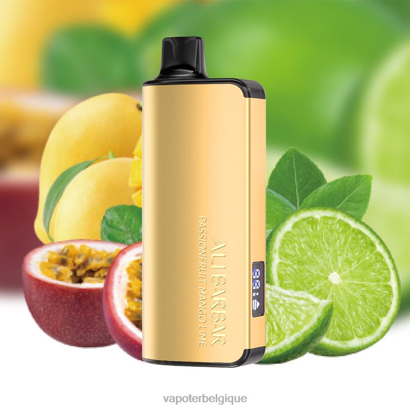 Vape En Gros 22F6422 Alibarbar Ingot 9000 vapes jetables fruit de la passion mangue citron vert
