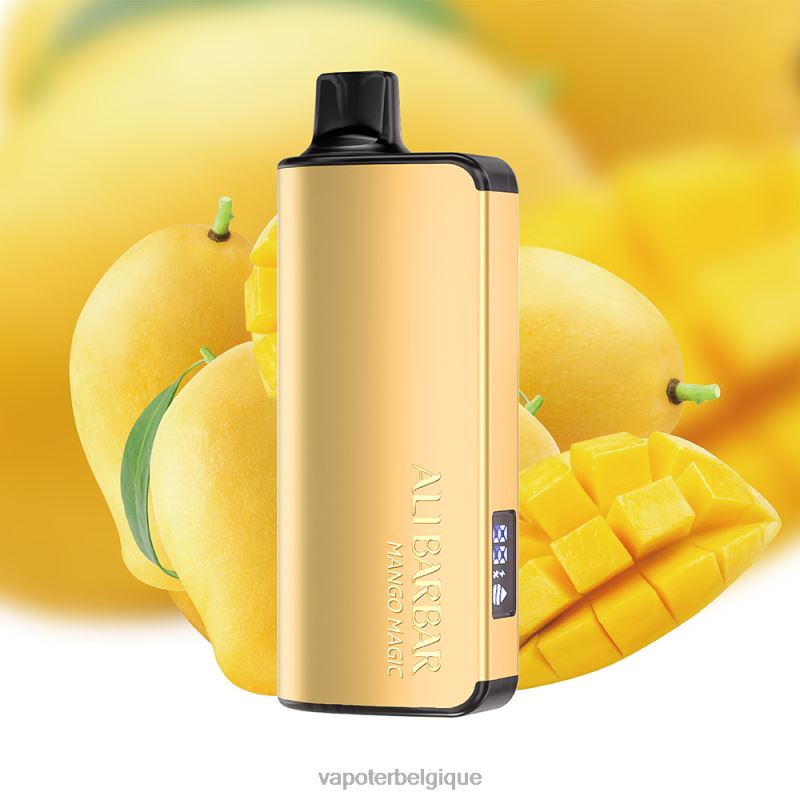 Vape En Gros 22F6429 Alibarbar Ingot 9000 vapes jetables magie de la mangue