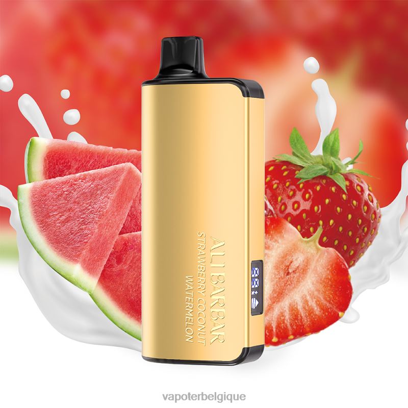 Vape Grossiste 22F6424 Alibarbar Ingot 9000 vapes jetables pastèque à la fraise et à la noix de coco