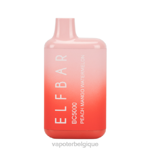 Grossiste Vape En Ligne J2D8304 | ELFBAR BC5000 pêche, mangue, pastèque