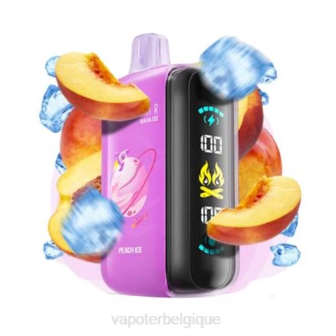 Elf Bar Raya D3 25000 - 6PLV1 jetable Vape En Gros