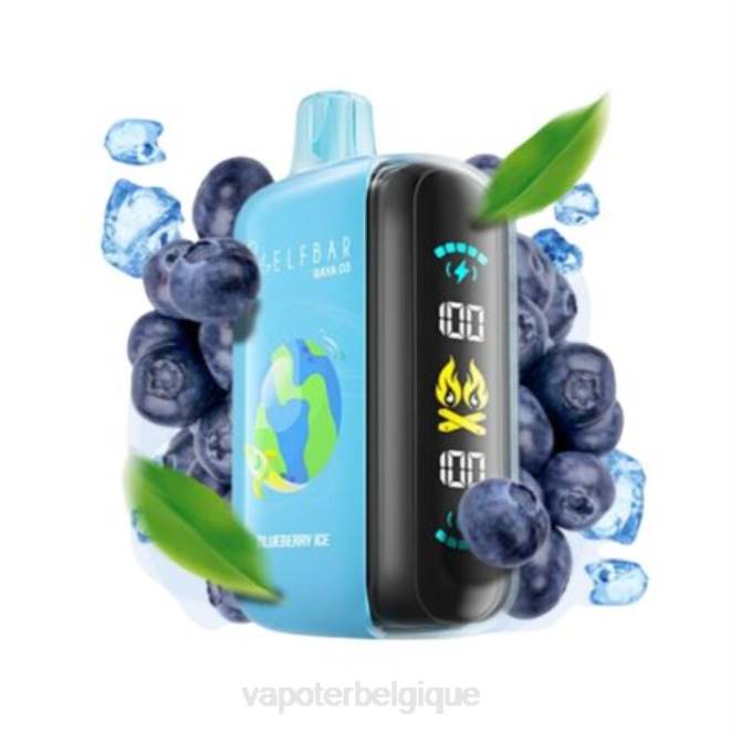 Elf Bar Raya D3 25000 - 6PLV1 jetable Vape En Gros
