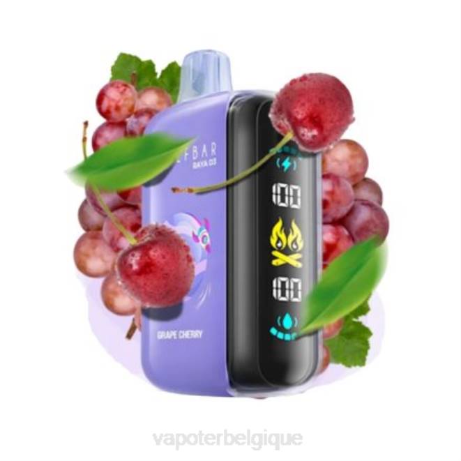 Elf Bar Raya D3 25000 - 6PLV1 jetable Vape En Gros