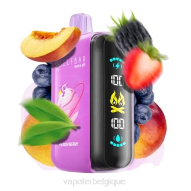 Elf Bar Raya D3 25000 - 6PLV1 jetable Vape En Gros