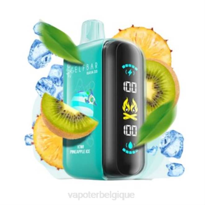 Elf Bar Raya D3 25000 - 6PLV1 jetable Vape En Gros