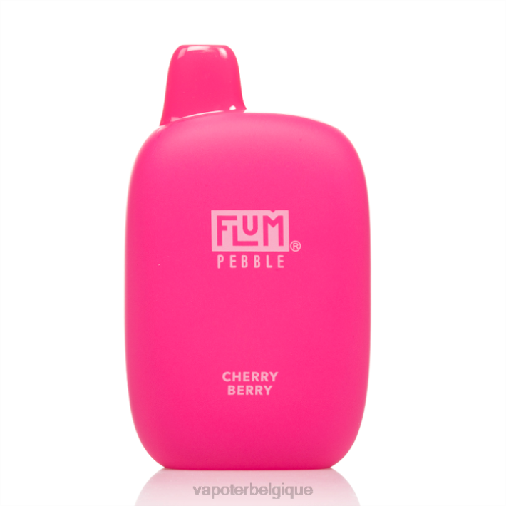 baie de cerise FLUM PEBBLES 6000 bouffées F8H424 Grossiste Vape Jetable