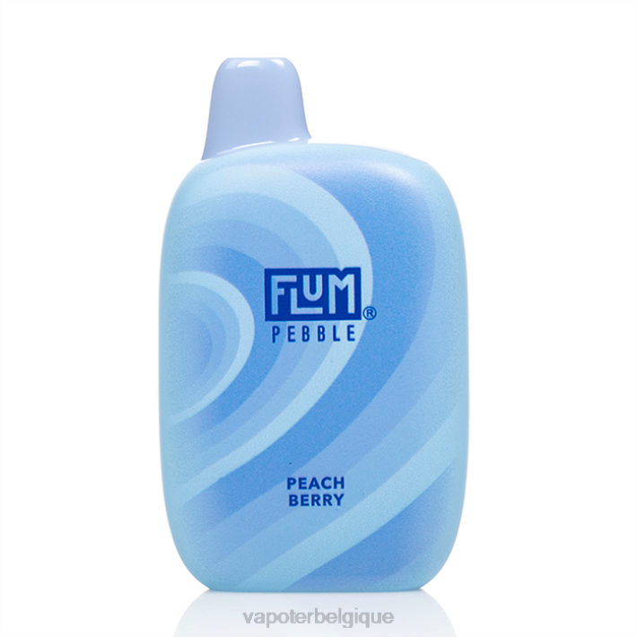 baie de pêche FLUM PEBBLES 6000 bouffées F8H437 Vape En Gros