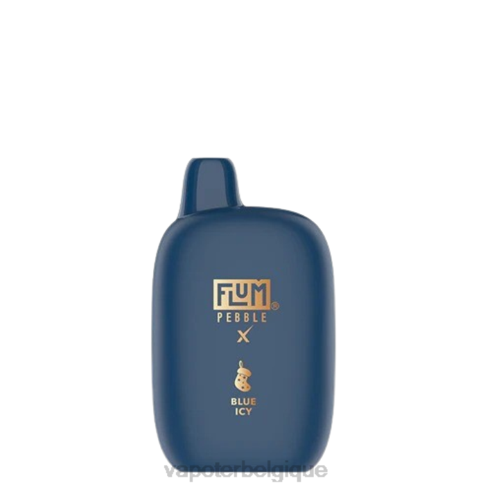 bleu glacé FLUM PEBBLES 6000 bouffées (édition de Noël) F8H42 Vapoter Belgique