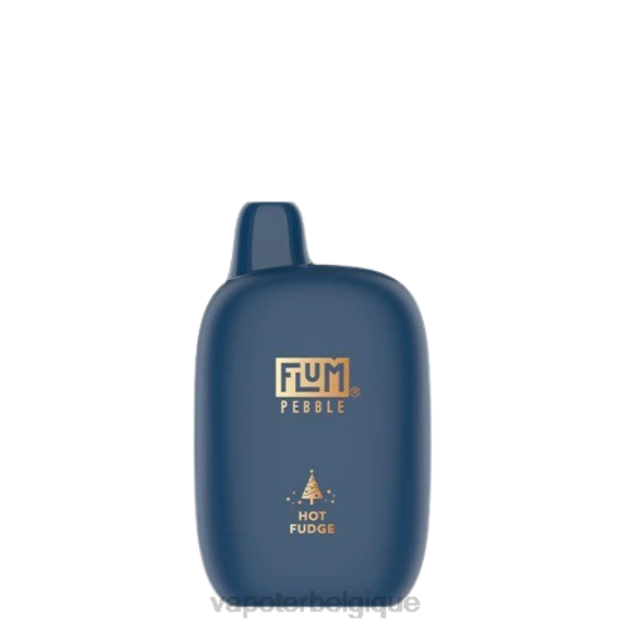 fondant chaud FLUM PEBBLES 6000 bouffées (édition de Noël) F8H46 Grossiste Vape Jetable