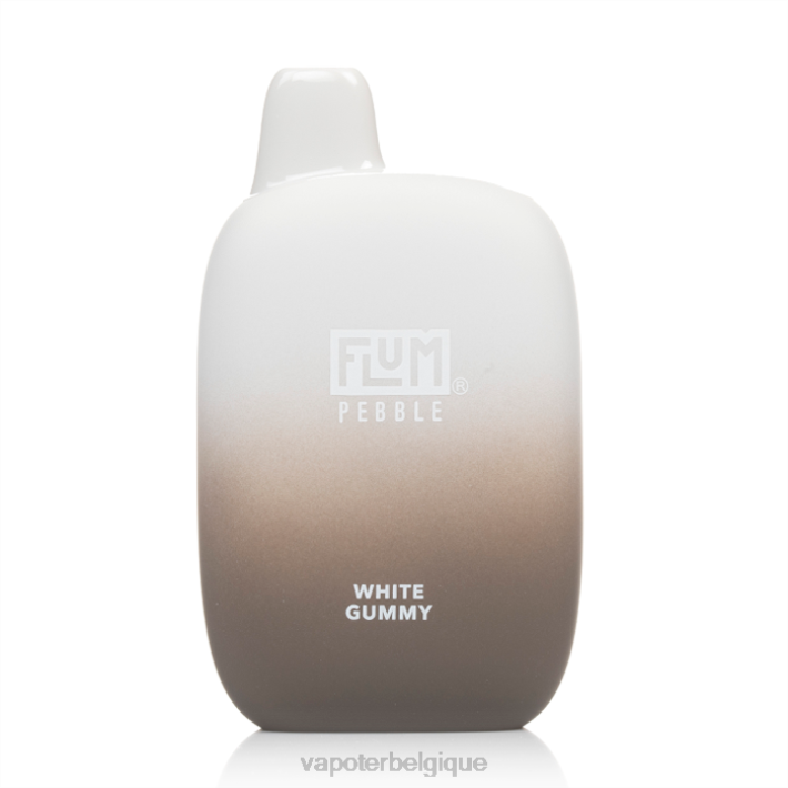 gomme blanche FLUM PEBBLES 6000 bouffées F8H454 Cigarette Electronique Bruxelles