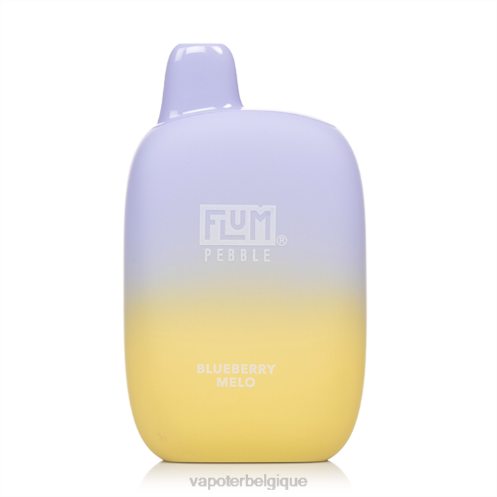 mélo aux myrtilles FLUM PEBBLES 6000 bouffées F8H422 Grossiste Vape En Ligne