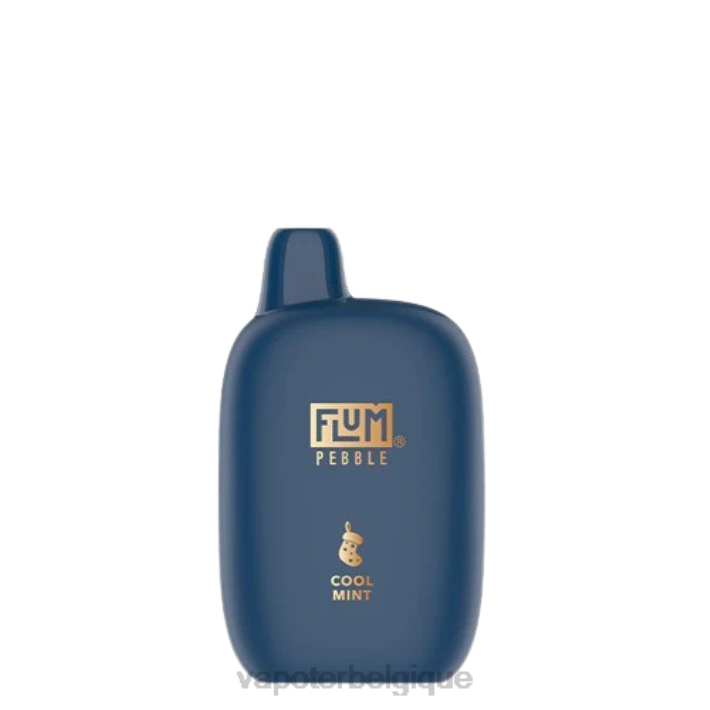menthe fraîche FLUM PEBBLES 6000 bouffées (édition de Noël) F8H45 Cigarette Electronique Grossiste