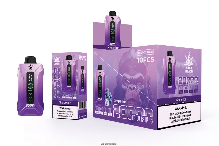 Bang Beach Vape à écran intelligent de 20 000 bouffées TTX60410 - Vape Grossiste glace aux raisins