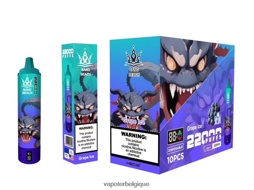 Bang Beach Écran intelligent de 22 000 bouffées TTX60419 - Cigarette Electronique Grossiste glace aux raisins