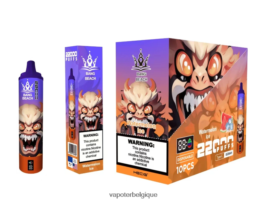Bang Beach Écran intelligent de 22 000 bouffées TTX60422 - Vape En Gros glace à la pastèque