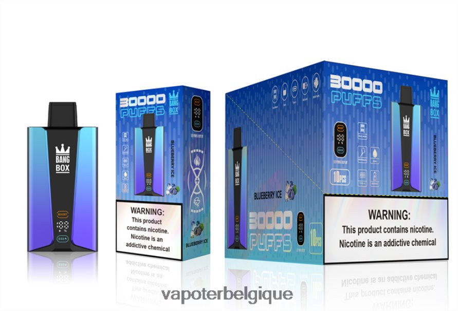 Bang Box Écran intelligent de 30 000 bouffées TTX60479 - Cigarette Electronique Grossiste glace aux myrtilles