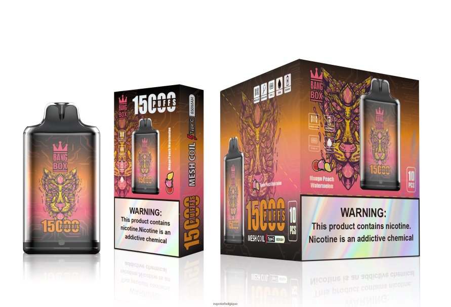 Bang Box s1-15000 bouffées TTX604107 - Cigarette Electronique Grossiste mangue pêche pastèque