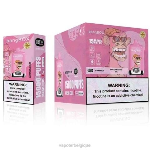 Cigarette Electronique Bruxelles J2D8139 | Bang Box glace à la pastèque 15000