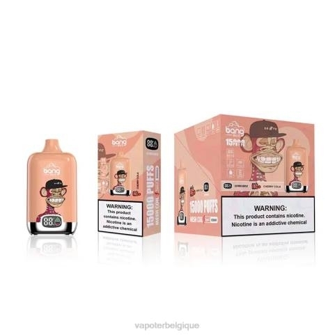 Grossiste Vape En Ligne J2D8134 | Bang Box cola aux cerises 15000