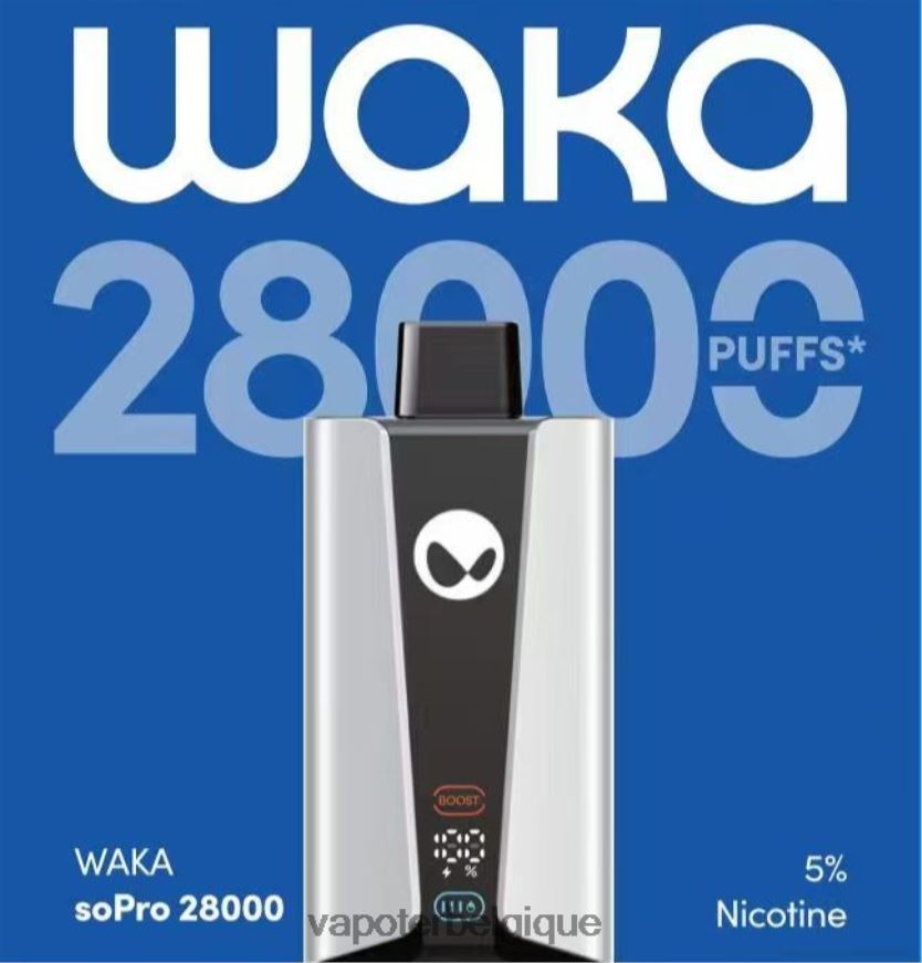 Grossiste Vape En Ligne H6B68X31 - multi-saveur RELX WAKA SoPro 28000