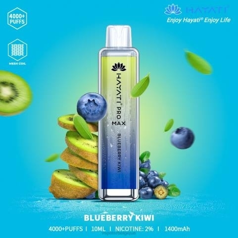 kiwi aux bleuets