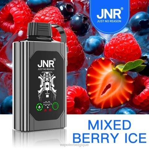 Cigarette Electronique Grossiste J2D8625 | JNR SHISHA BOX glace aux fruits mélangés