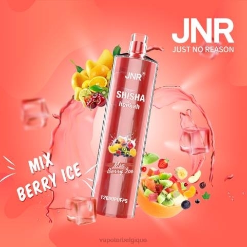 Cigarette Electronique Grossiste J2D8685 | JNR SHISHA mélanger la glace aux baies
