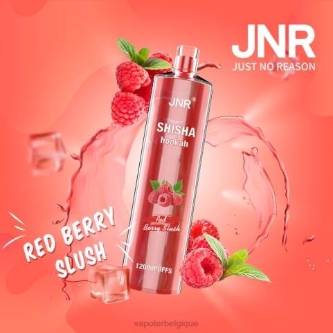 Cigarette Electronique Jetable J2D8687 | JNR SHISHA barbotine aux fruits rouges