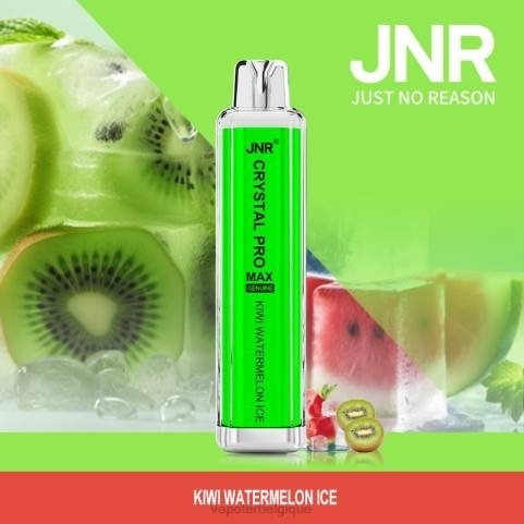 glace à la pastèque et au kiwi