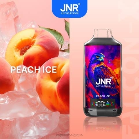 Cigarette Electronique Grossiste J2D8555 | JNR FALCON-X glace à la pêche
